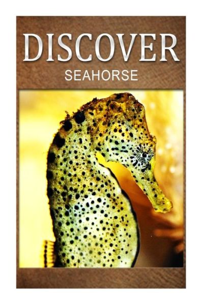 Seahorse - Discover: Early Reader's Wildlife Photography Book - Discover Press - Książki - Createspace - 9781497529304 - 4 kwietnia 2014