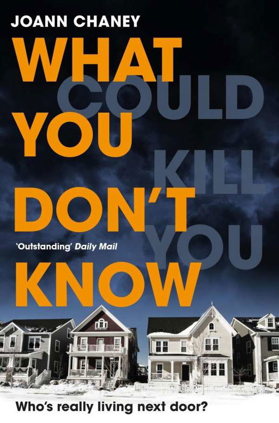 Cover for JoAnn Chaney · What You Don't Know (Paperback Book) (2018)