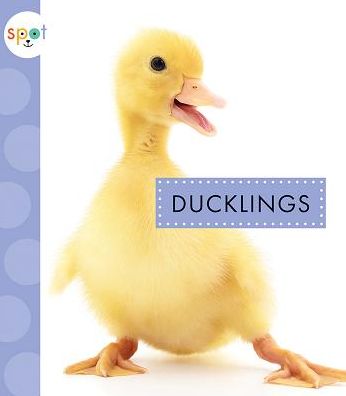 Cover for Anastasia Suen · Ducklings (Hardcover Book) (2019)