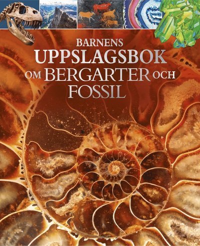 Cover for Claudia Martin · Barnens uppslagsbok om bergarter och fossil (Bound Book) (2019)