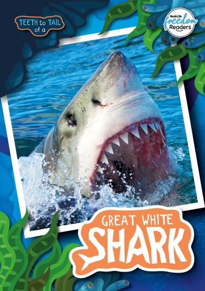 Cover for Robin Twiddy · Teeth to Tail of a Great White Shark - BookLife Freedom Readers (Paperback Book) (2022)