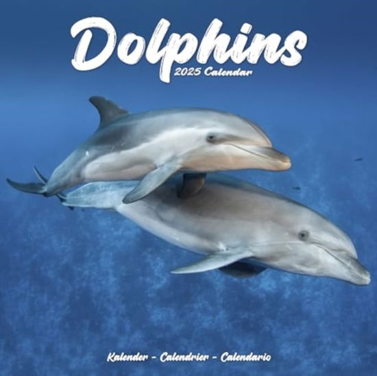 Cover for Dolphins Calendar 2025  Square Animal Wall Calendar - 16 Month (Calendar) (2024)