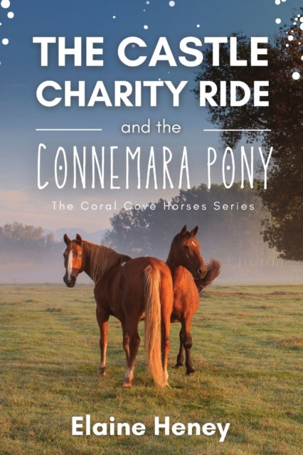 Cover for Elaine Heney · The Castle Charity Ride and the Connemara Pony - The Coral Cove Horses Series - The Coral Cove Horses Series (Paperback Book) (2023)