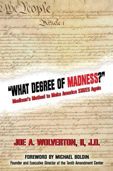 Cover for Joe a Wolverton II · What Degree of Madness? (Paperback Book) (2020)