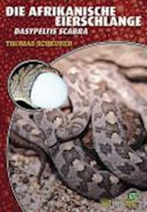 Cover for Thomas Scheurer · Die Afrikanische Eierschlange (Taschenbuch) (2007)