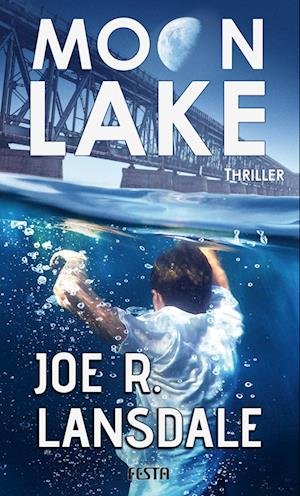 Cover for Joe R. Lansdale · Moon Lake - Eine verlorene Stadt (Buch) (2022)