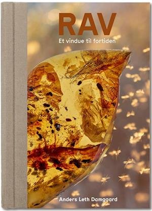 Cover for Anders Leth Damgaard · RAV - Et vindue til fortiden (Hæftet bog) [1. udgave] (2022)