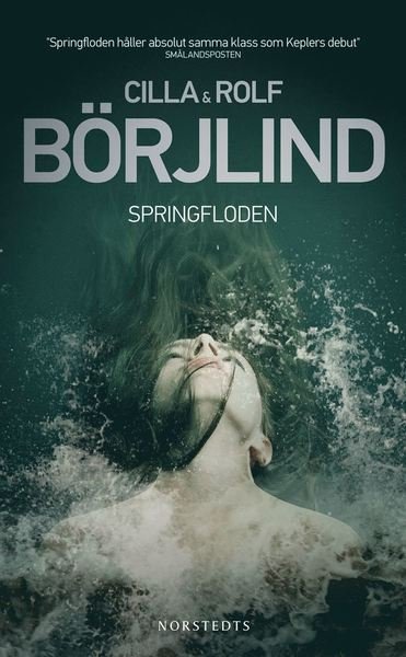 Cover for Rolf Börjlind · Rönning / Stilton: Springfloden (Pocketbok) (2013)