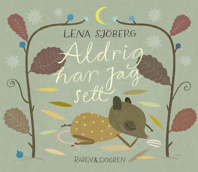 Cover for Lena Sjöberg · Aldrig har jag sett (ePUB) (2017)