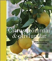 Cover for Camilla Arvidsson · Citrusdrömmar &amp; olivlundar : medelhavskänsla i trädgården (Indbundet Bog) (2013)