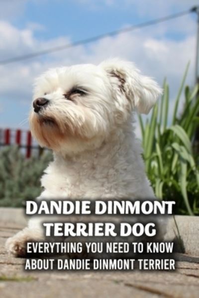 Cover for Caris Michelle · Dandie Dinmont Terrier Dog: Everything You Need to Know About Dandie Dinmont Terrier: The Complete Dandie Dinmont Terrier Dog Breed Guide (Paperback Book) (2021)