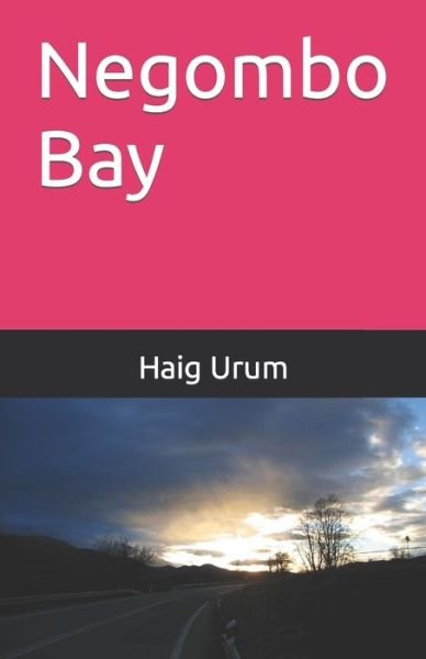 Negombo Bay - Haig Urum - Livros - Independently Published - 9798562584304 - 10 de novembro de 2020