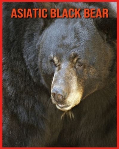 Cover for Annie Nichols · Asiatic Black Bear (Paperback Book) (2021)