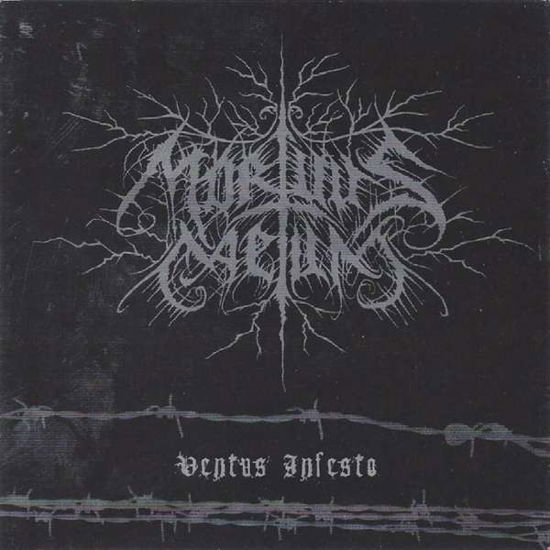 Cover for Mortuus Caelum · Ventus Infesto (CD) (2021)