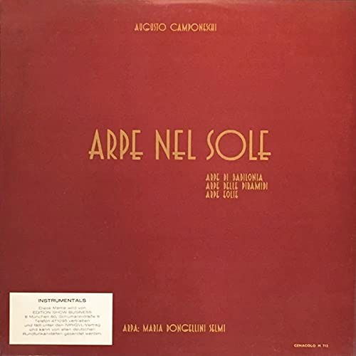 Cover for Augusto Camponeschi · Arpe Nel Sole (LP) (2014)