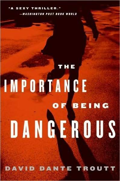 Cover for David Dante Troutt · The Importance of Being Dangerous (Paperback Book) [Reprint edition] (2008)