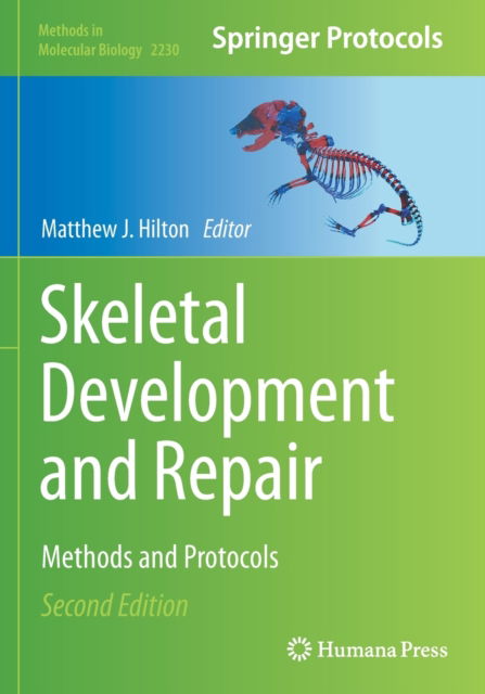 Skeletal Development and Repair: Methods and Protocols - Methods in Molecular Biology - - Livros - Springer-Verlag New York Inc. - 9781071610305 - 17 de novembro de 2021