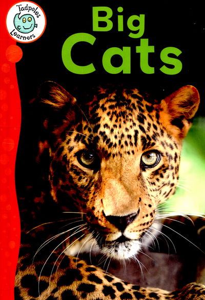 Cover for Annabelle Lynch · Tadpoles Learners: Big Cats - Tadpoles Learners (Hardcover Book) [Illustrated edition] (2015)