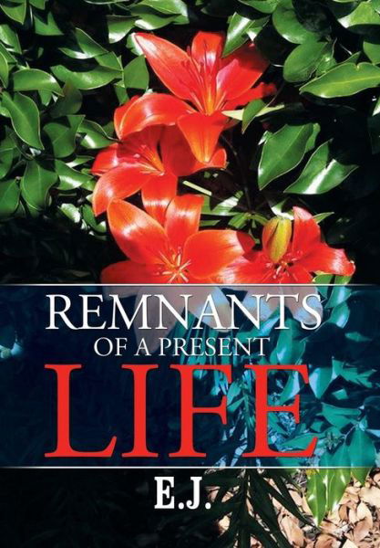 Cover for E J · Remnants of a Present Life (Hardcover bog) (2015)
