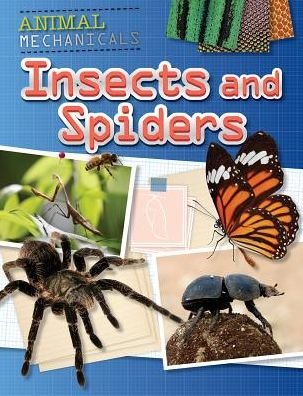 Cover for Tom Jackson · Insects and Spiders (Paperback Book) (2016)