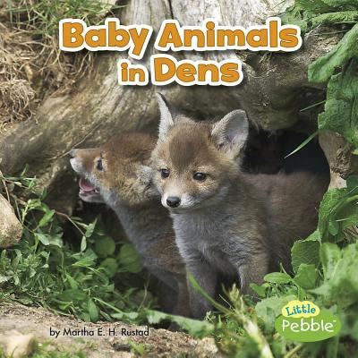 Cover for Martha E. H. Rustad · Baby Animals in Dens (Book) (2017)