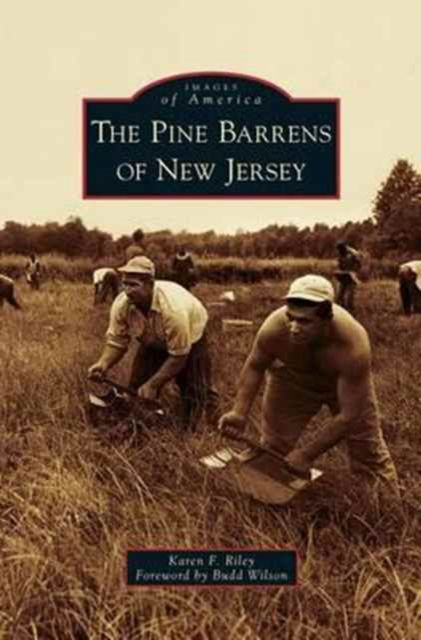 Cover for Karen F Riley · Pine Barrens of New Jersey (Hardcover Book) (2010)