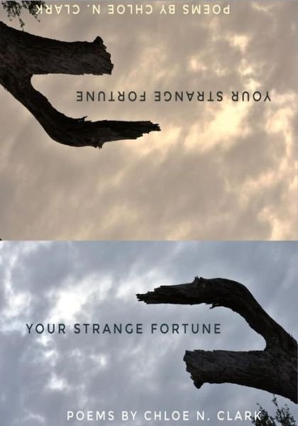 Cover for Chloe N Clark · Your Strange Fortune (Paperback Book) (2019)