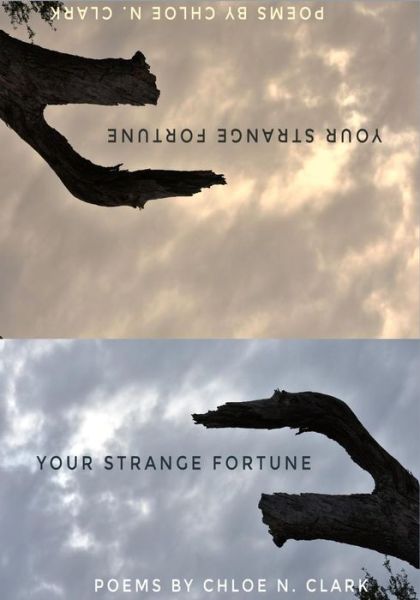 Cover for Chloe N Clark · Your Strange Fortune (Paperback Book) (2019)