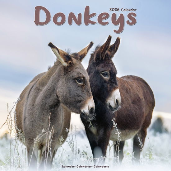 Cover for Donkeys Calendar 2026  Square Animal Wall Calendar - 16 Month (Calendar) (2025)