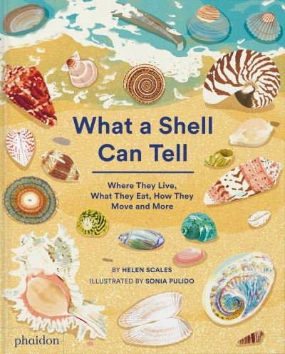 Cover for Helen Scales · What A Shell Can Tell (Innbunden bok) (2022)