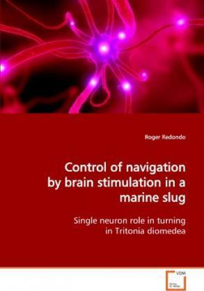 Cover for Redondo · Control of navigation by brain (Book)