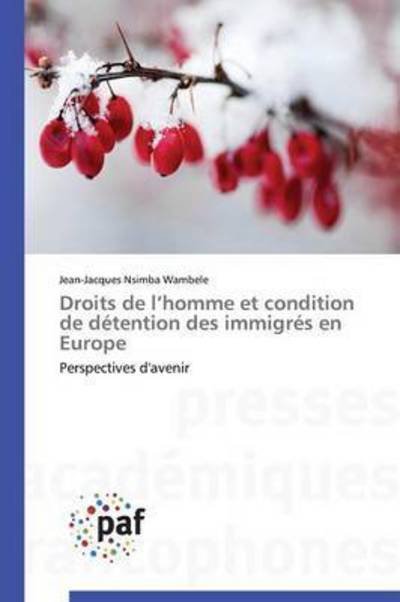 Cover for Nsimba Wambele Jean-jacques · Droits De L'homme et Condition De Detention Des Immigres en Europe (Paperback Book) (2018)