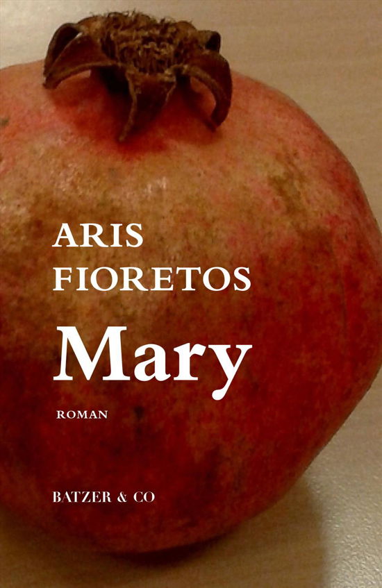 Cover for Aris Fioretos · Mary (Sewn Spine Book) [1º edição] (2016)