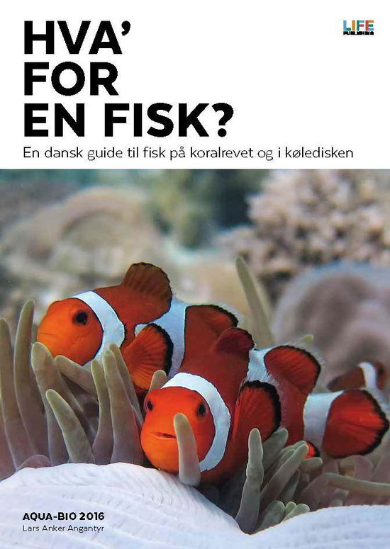 Cover for Lars Anker Angantyr · Hva' for en fisk? (Hæftet bog) [1. udgave] (2016)