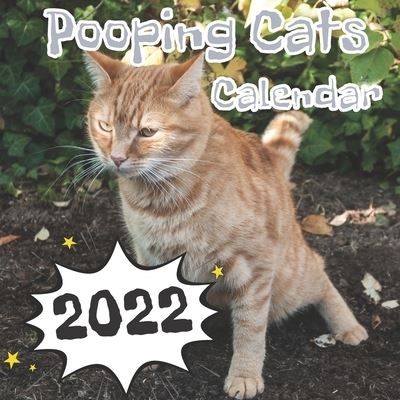 2021 pooping cats calendar