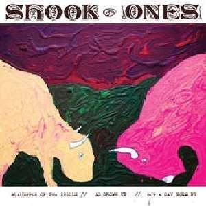 Cover for Shook Ones · Slaughter Of The Insole (7&quot;) (2006)