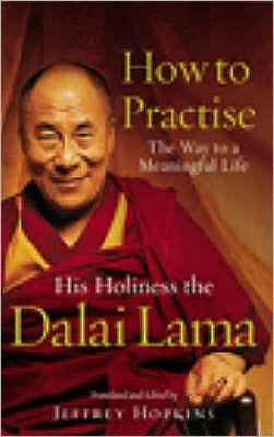 How To Practise: The Way to a Meaningful Life - Dalai Lama - Kirjat - Ebury Publishing - 9780712630306 - torstai 7. elokuuta 2003