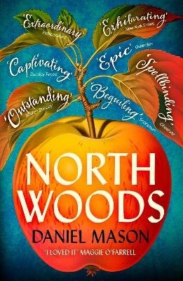 Cover for Daniel Mason · North Woods (Taschenbuch) (2024)