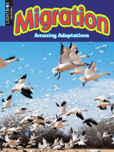 Cover for Megan Kopp · Migration (Hardcover Book) (2016)