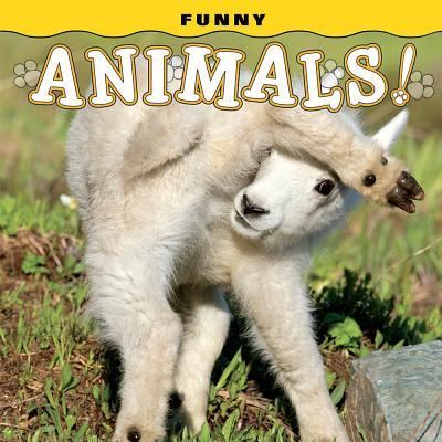 Cover for Steph Lehmann · Funny Animals! (Board book) (2018)