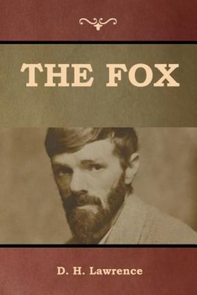 Cover for D H Lawrence · The Fox (Paperback Bog) (2019)