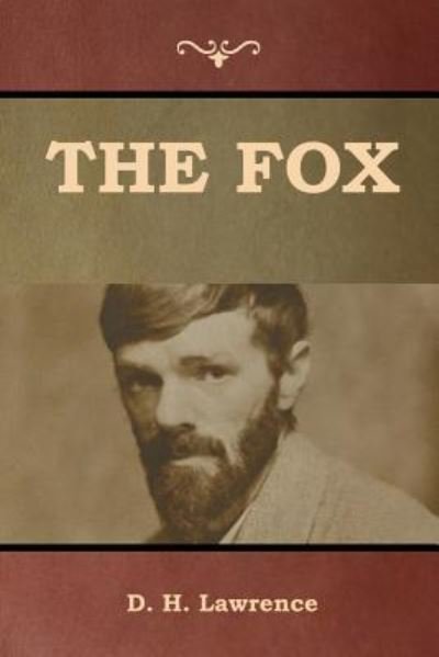 Cover for D H Lawrence · The Fox (Paperback Book) (2019)