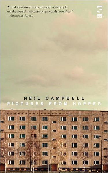 Pictures from Hopper - Neil Campbell - Books - Salt Publishing - 9781844718306 - December 15, 2011