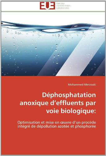 Cover for Mohammed Merzouki · Déphosphatation Anoxique D'effluents Par Voie Biologique:: Optimisation et Mise en Oeuvre D'un Procède Intégré De Dépollution Azotée et Phosphorée (Paperback Book) [French edition] (2018)