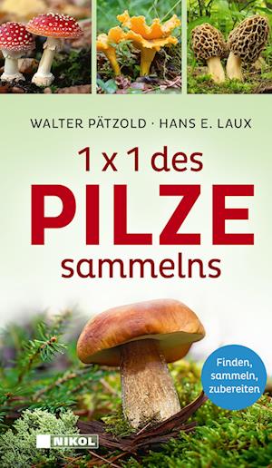 1 x 1 des Pilzesammelns - Walter Pätzold - Books - Nikol - 9783868208306 - August 12, 2024