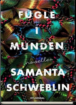 Cover for Samanta Schweblin · Fugle i munden (Sewn Spine Book) [1º edição] (2019)