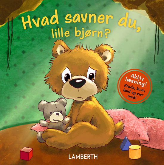 Cover for Annette Langen · Aktiv læsning: Hvad savner du, lille bjørn? (Cardboard Book) [1st edition] (2025)