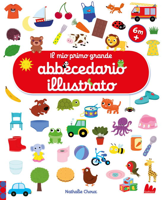 Cover for Nathalie Choux · Il Mio Primo Grande Abbecedario Illustrato. Ediz. A Colori (Book)