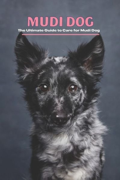 Cover for Gosnell Mollie · Mudi Dog: The Ultimate Guide to Care for Mudi Dog (Taschenbuch) (2022)