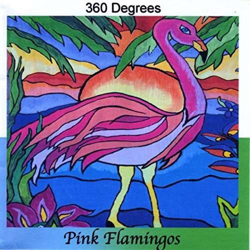 Cover for 360 Degrees · Pink Flamingos (CD) (2016)